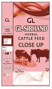 gl sirhand close up